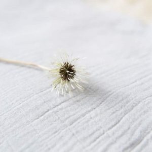 Muselinas para bebé - Muselina de algodón orgánico blanca